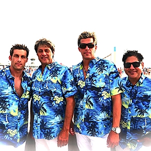 Surf's Up - Beach Boys Tribute image